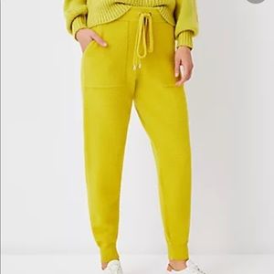 Ann Taylor Sweater Jogger Pant